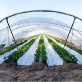 農業用資材開発秘話