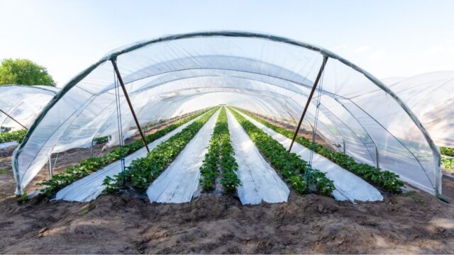 農業用資材開発秘話